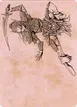 Lae'zel, Vlaakith's Champion #45