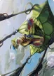 Nael, Avizoa Aeronaut #51