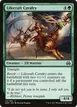 Lifecraft Cavalry #113