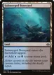 Submerged Boneyard #194