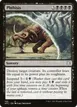 Phthisis #105