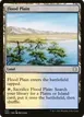 Flood Plain #237