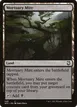 Mortuary Mire #249