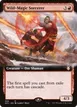 Wild-Magic Sorcerer #305