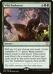 Wild Endeavor #43
