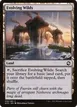 Evolving Wilds #256