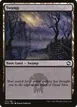 Swamp #271