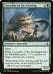 Crocodile of the Crossing #162