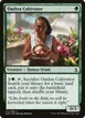 Oashra Cultivator #177