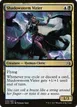 Shadowstorm Vizier #206
