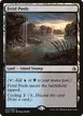 Fetid Pools #243
