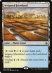 Irrigated Farmland #245