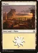 Plains #256