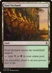 Foul Orchard #279