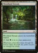 Woodland Stream #287