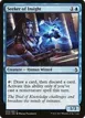Seeker of Insight #69