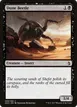 Dune Beetle #89