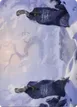 Snow-Covered Plains #74