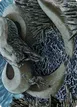 Koma, Cosmos Serpent #80