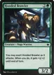 Hooded Brawler #194
