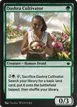 Oashra Cultivator #204