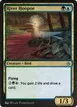 River Hoopoe #256