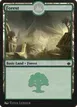 Forest #300