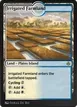 Irrigated Farmland #304