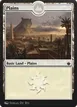 Plains #319