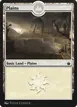 Plains #325