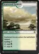 Scattered Groves #327