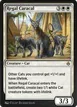 Regal Caracal #339