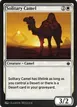 Solitary Camel #36