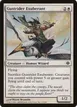 Gustrider Exuberant #13