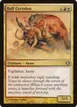 Bull Cerodon #161