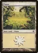 Plains #230