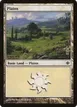 Plains #232