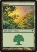 Forest #248