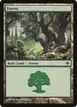 Forest #249