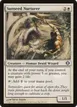 Sunseed Nurturer #29