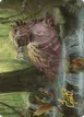 Basking Capybara #22