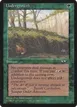 Undergrowth #102b