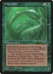 Whip Vine #103a
