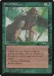 Elvish Ranger #88b