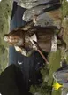 Mirrormere Guardian #12