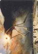Soulherder #28