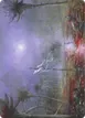 Silent Clearing #51