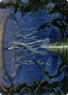 Tanglepool Bridge #80