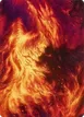 Stoke the Flames #38