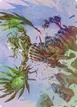 Botanical Brawler #43